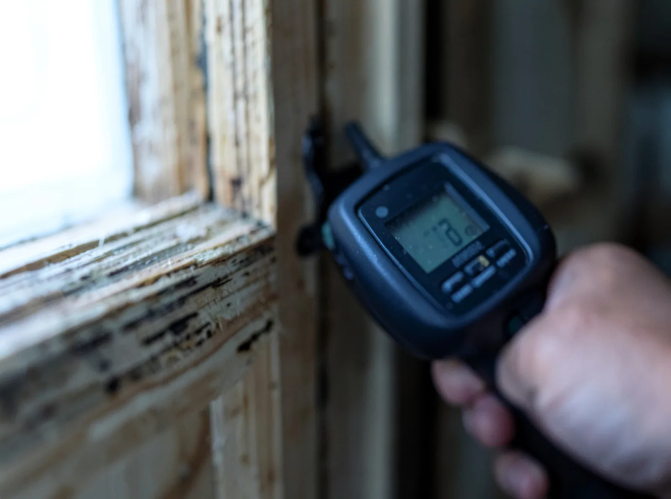 Commercial Water Damage Restoration in Galena Park, TX